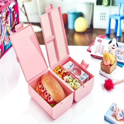 Çift Kapaklı Bölmeli Beslenme Kabı