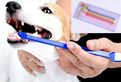 Çift Taraflı Hayvan Diş Fırçası 4 lü set (3936)