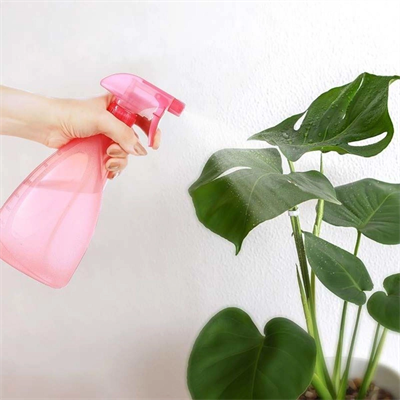 Çok Amaçlı Fısfıs Çiçek Sulama Plastik Su Sprey Şişesi 700 Ml Tp-219 Bx40