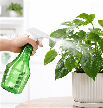 Çok Amaçlı Fısfıs Çiçek Sulama Şeffaf Su Sprey Şişesi 500 Ml