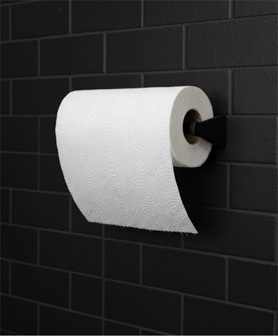 Dayanıklı Duvar Tipi Kağıt Havlu Peçete Tutucu Askı