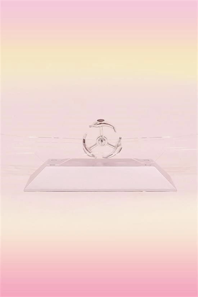 Dekoratif Masa Üstü Obje Manyetik Kinetik Orbital Dönen Yunuslar