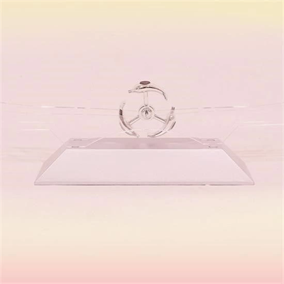 Dekoratif Masa Üstü Obje Manyetik Kinetik Orbital Dönen Yunuslar