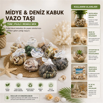Dekoratif Vazo Taşı - Midye ve Deniz Kabuğu - Fileli Renkli Mix