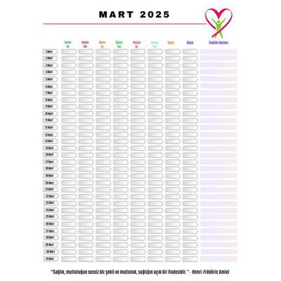 Diyabet Kan Şekeri Takip Çizelgesi Defteri A Kalite Özel Tasarım 12 Aylık 2026
