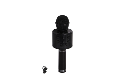 EMR-101 KUTULU KARAOKE MİKROFON
