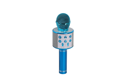 EMR-101 KUTULU KARAOKE MİKROFON