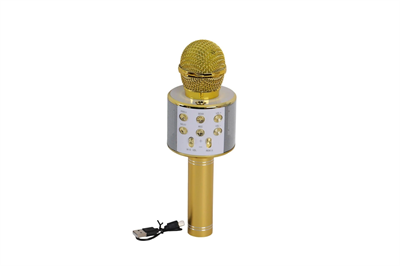 EMR-101 KUTULU KARAOKE MİKROFON