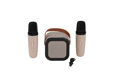 EMR-102 KUTULU 2Lİ KARAOKE MİKROFON