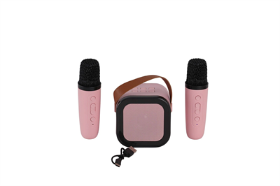 EMR-102 KUTULU 2Lİ KARAOKE MİKROFON