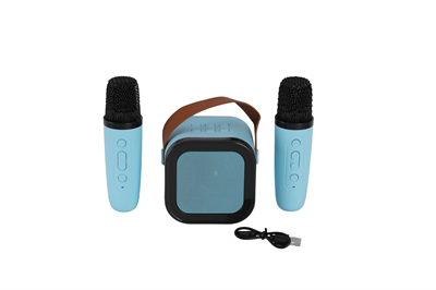 EMR-102 KUTULU 2Lİ KARAOKE MİKROFON