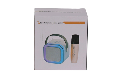 EMR-102 KUTULU 2Lİ KARAOKE MİKROFON