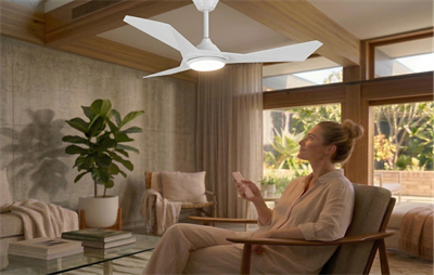 Eco Lounge CATA CT 3000 Cenevre 40W Ledli Tavan Vantilatörü Kumandalı 3 Renk