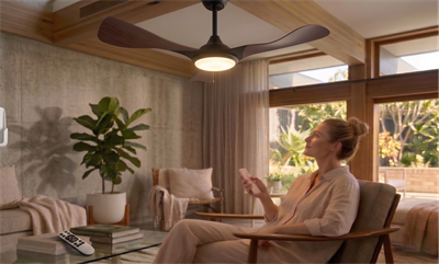 Eco Lounge CATA CT 3002 Bern 40W Ledli Tavan Vantilatörü Kumandalı 3 Renk