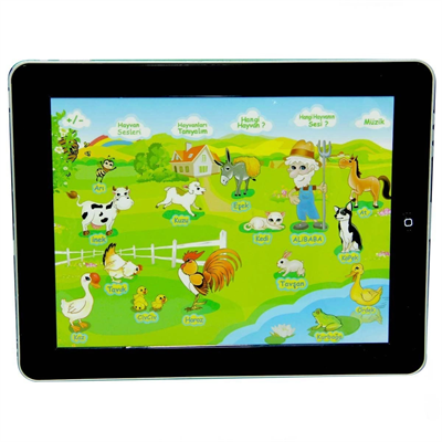 Eğitici Çiftlik Pad YY-582