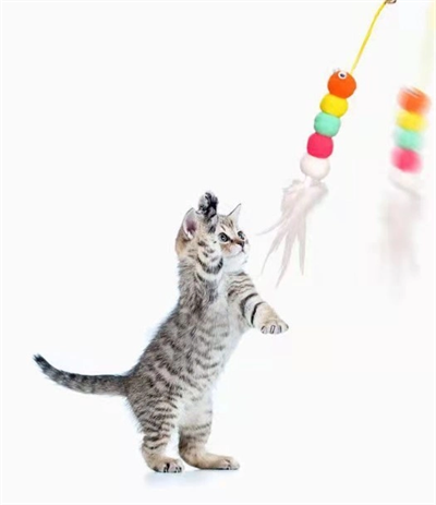 Elastik Kendinden Yapışkanlı Solucan Kedi Oltası Bx40