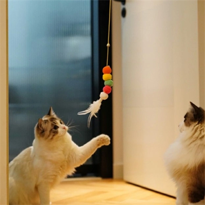 Elastik Kendinden Yapışkanlı Solucan Kedi Oltası Bx40