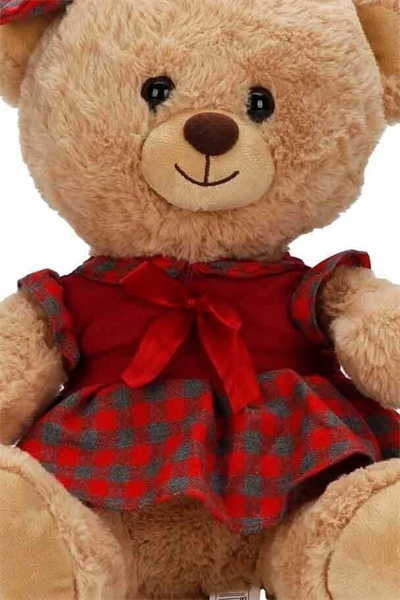 Elbiseli 32 cm Peluş Ayı Oyuncak – Yumuşak Dolgulu Sevimli Hediye ve Aksesuar BX-313532