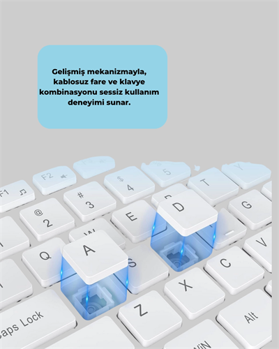 Ergonomik Kablosuz Klavye Mouse Takımı - Tam Boy, Sessiz ve Güvenilir