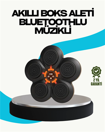 Ev Tipi Akıllı Boks Duvar Paneli Müzikli Bluetoothlu Refleks Geliştirme Cihazı