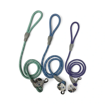 Evcil Hayvan Fitil Gezdirme Tasması 10 mm x 120 cm