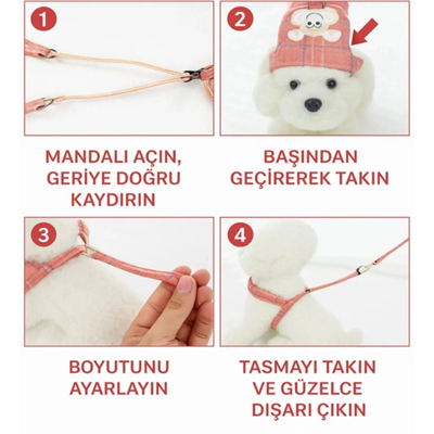 Evcil Hayvan Göğüs Gezdirme Tasması - Set Tasma - Karışık Renk