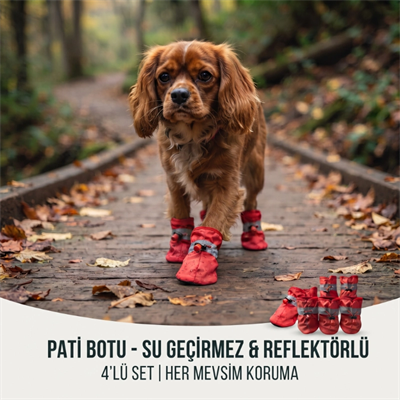 Evcil Hayvan Pati Botu - Kordonlu Tasarım - Kaymaz Taban