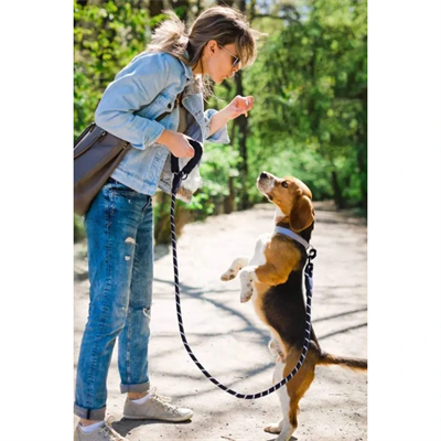 Evcil Hayvan Reflektörlü Fitil Gezdirme Tasması 12 mm x 120 cm