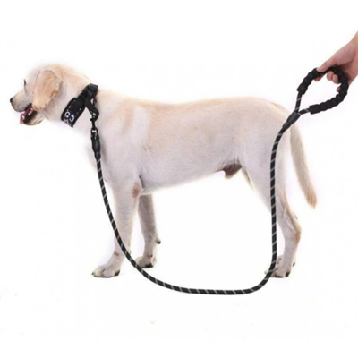 Evcil Hayvan Reflektörlü Fitil Gezdirme Tasması 12 mm x 120 cm