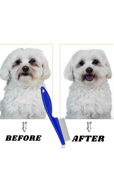 Evcil Hayvan Tarak Seti 4lü Bit Tarağı Ked Köpek Tüyüne Uygun