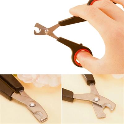 Evcil Hayvan Tırnak Makası Ve Törpü Seti Manikür Pedikür Pati Bakım Aleti Kaymaz Sap (3936)