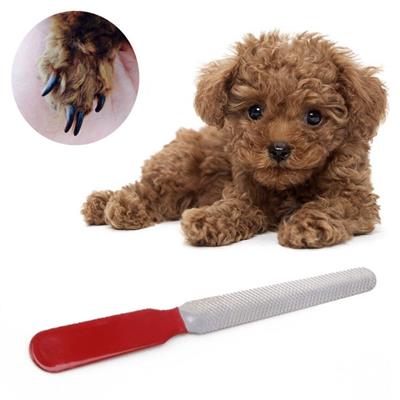 Evcil Hayvan Tırnak Makası Ve Törpü Seti Manikür Pedikür Pati Bakım Aleti Kaymaz Sap (3936)