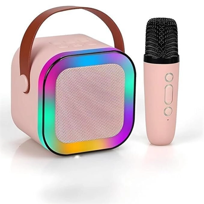 FP-K12 KARAOKE WİRELESS SPEAKER