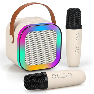 FP-K12 KARAOKE WİRELESS SPEAKER