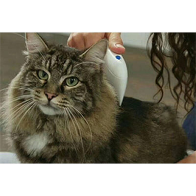 Flea Doctor Pet Hayvanlar İçin Haşere Öldürücü Pilli Pire Tarağı