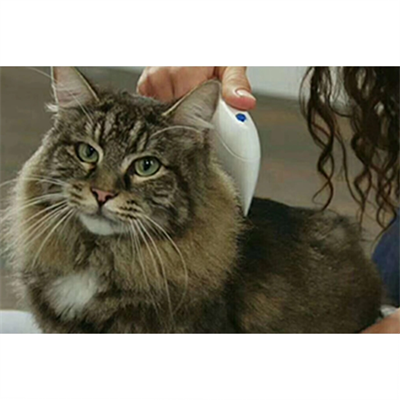 Flea Doctor Pet Hayvanlar İçin Haşere Öldürücü Pilli Pire Tarağı