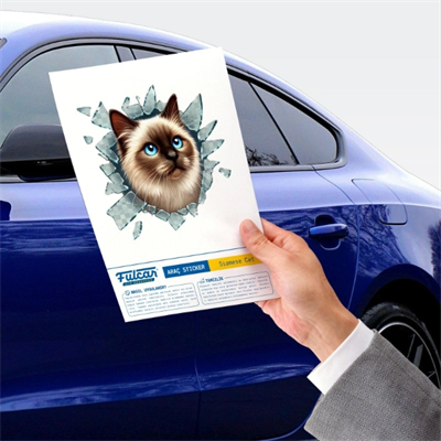 Fulcar Kedi Tasarımlı Araç Stickerı