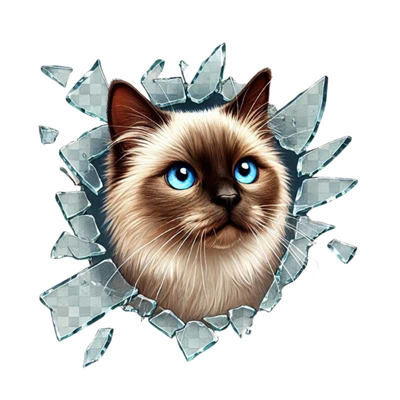 Fulcar Kedi Tasarımlı Araç Stickerı