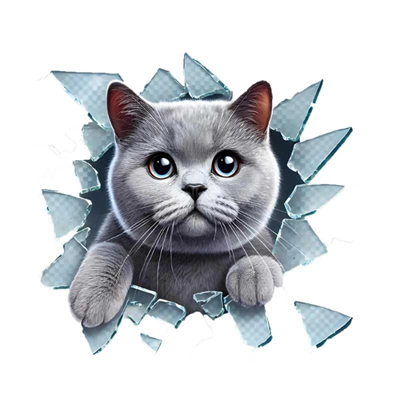 Fulcar Kedi Tasarımlı Araç Stickerı