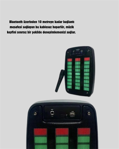 GTS 1793 Işıklı 6.5 İnç Kablosuz Hoparlör Bluetooth, USB ve FM Özellikli