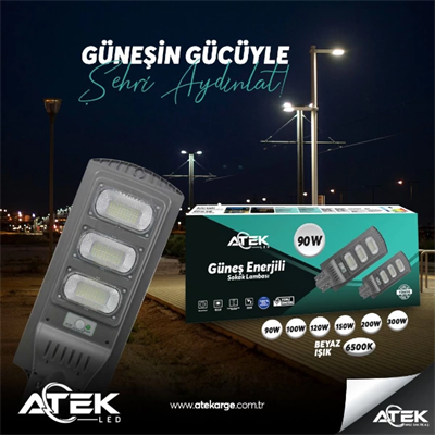 Güneş Enerjili Sokak Lambası 120 W