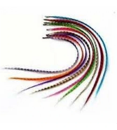 Hair Feather Saç Tüyü - Asorti