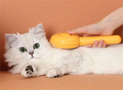 Hamburger Şekilli Otomatik Temizlenen Evcil Hayvan Fırçası