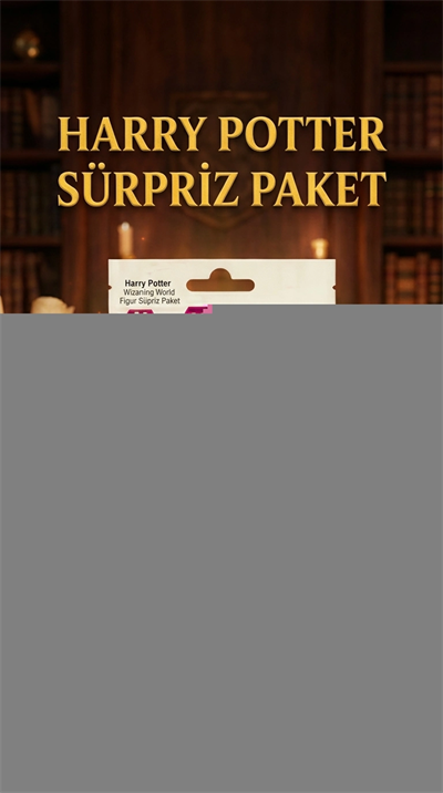 Harry Potter Koleksiyon Figür Sürpriz Paket Oyuncak 1 Adet