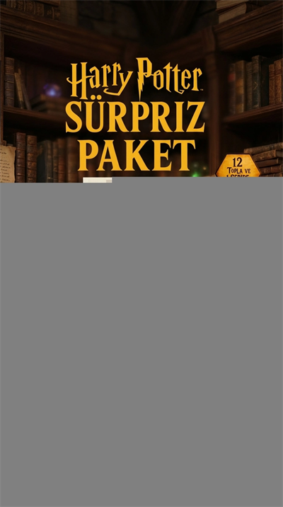 Harry Potter Sürpriz Figür Koleksiyonu Kutu Oyuncak