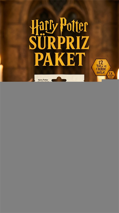 Harry Potter Sürpriz Figür Oyuncak Koleksiyon Kutusu