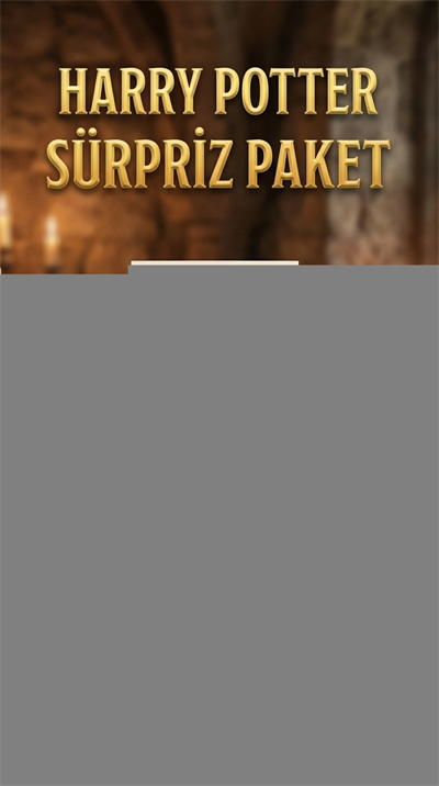 Harry Potter Temalı Sürpriz Figür Koleksiyonu Oyuncak Seti