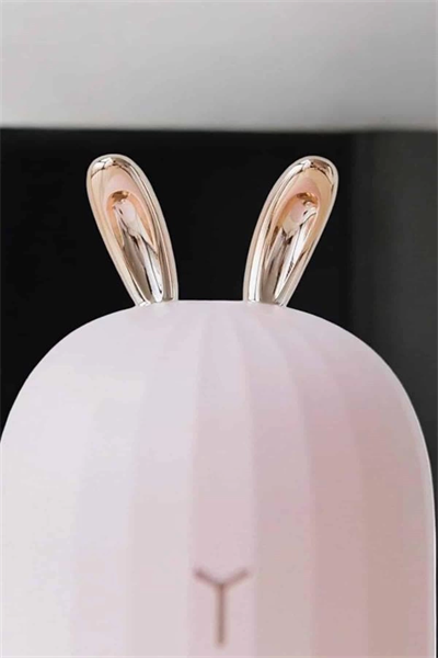 Hava Nemlendirici Aromaterapi Hava Temizleyici Renk Değiştirebilen