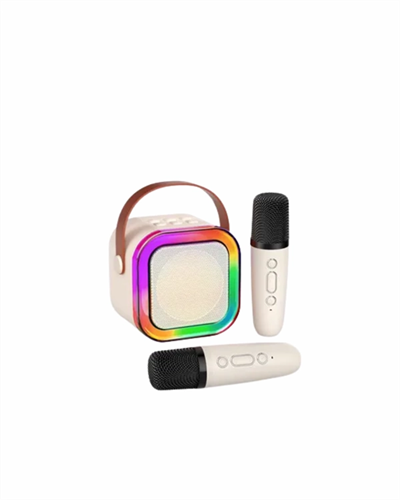 İki Mikrofonlu Renkli LED Işıklı Karaoke Cihazı