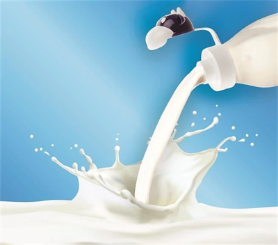İnek Tasarımlı Sevimli Cam Suluk - Süt Şişesi 1000 Ml